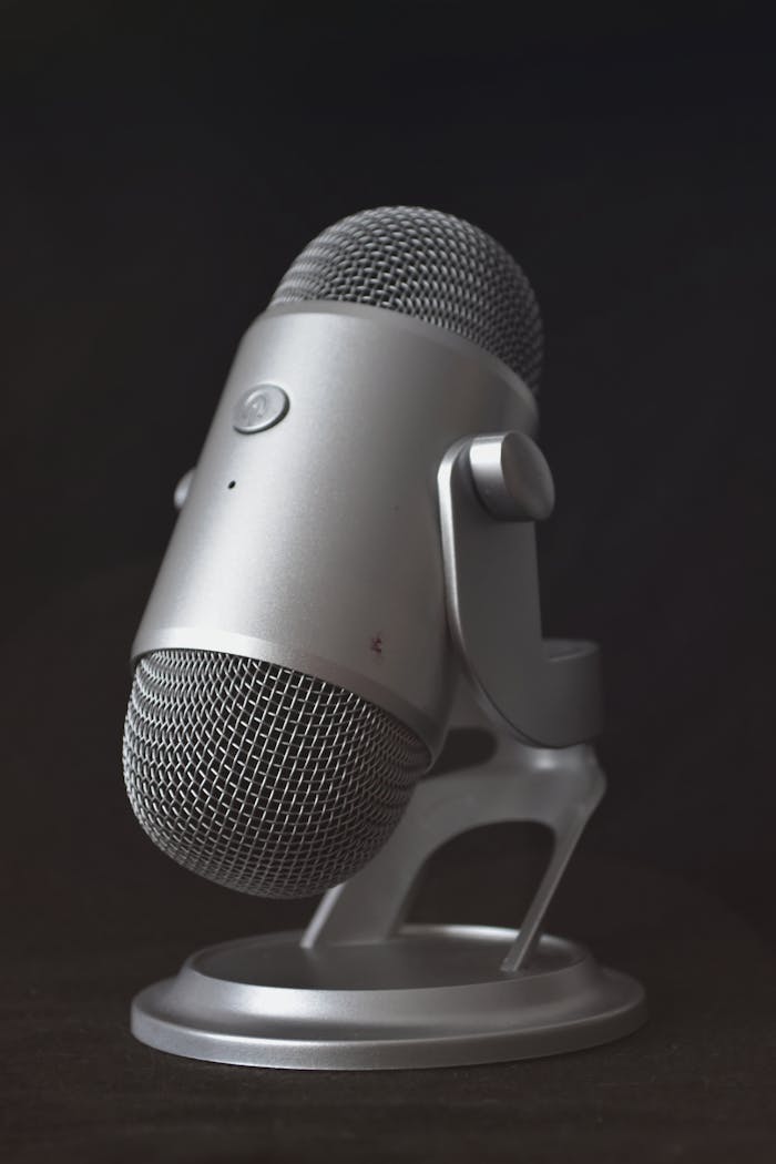 services-03 Detailed shot of a metallic microphone on a stand, ideal for studio recordings.