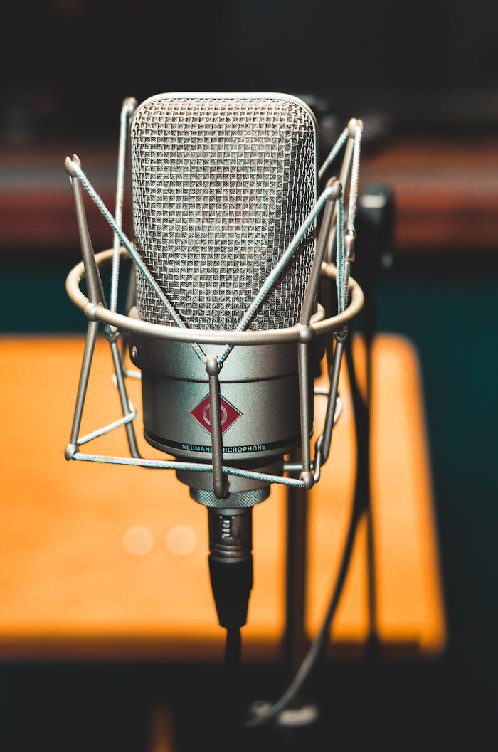 services-02 Close-up of a professional microphone on a stand, ideal for studio audio recording.