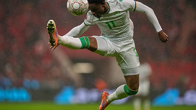 AFCON 2025: The coelacanth, Comoros’ national symbol in football and beyond