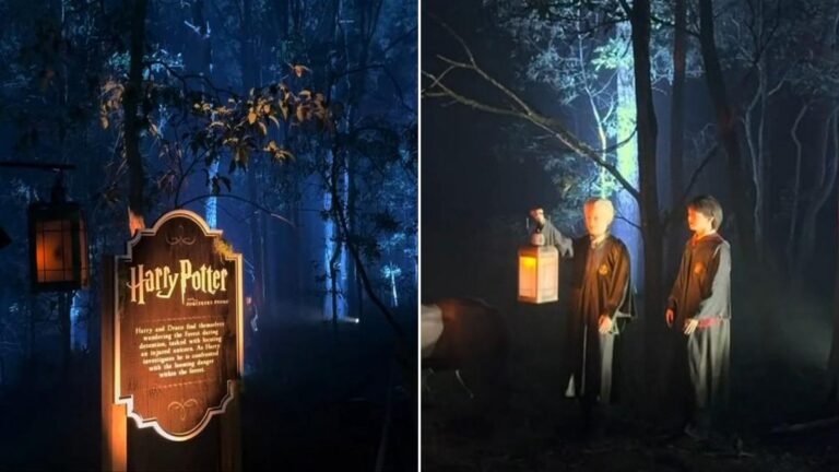 Harry Potter-themed Forbidden Forest Experience in Perth met with opposition over fears for native wildlife
