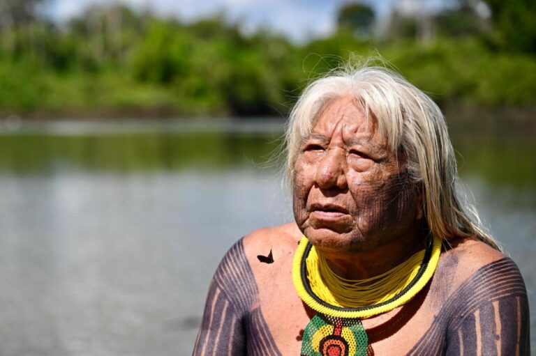 Brazil’s Indigenous leader Megaron warns of illegal gold mining threat to Amazon territories